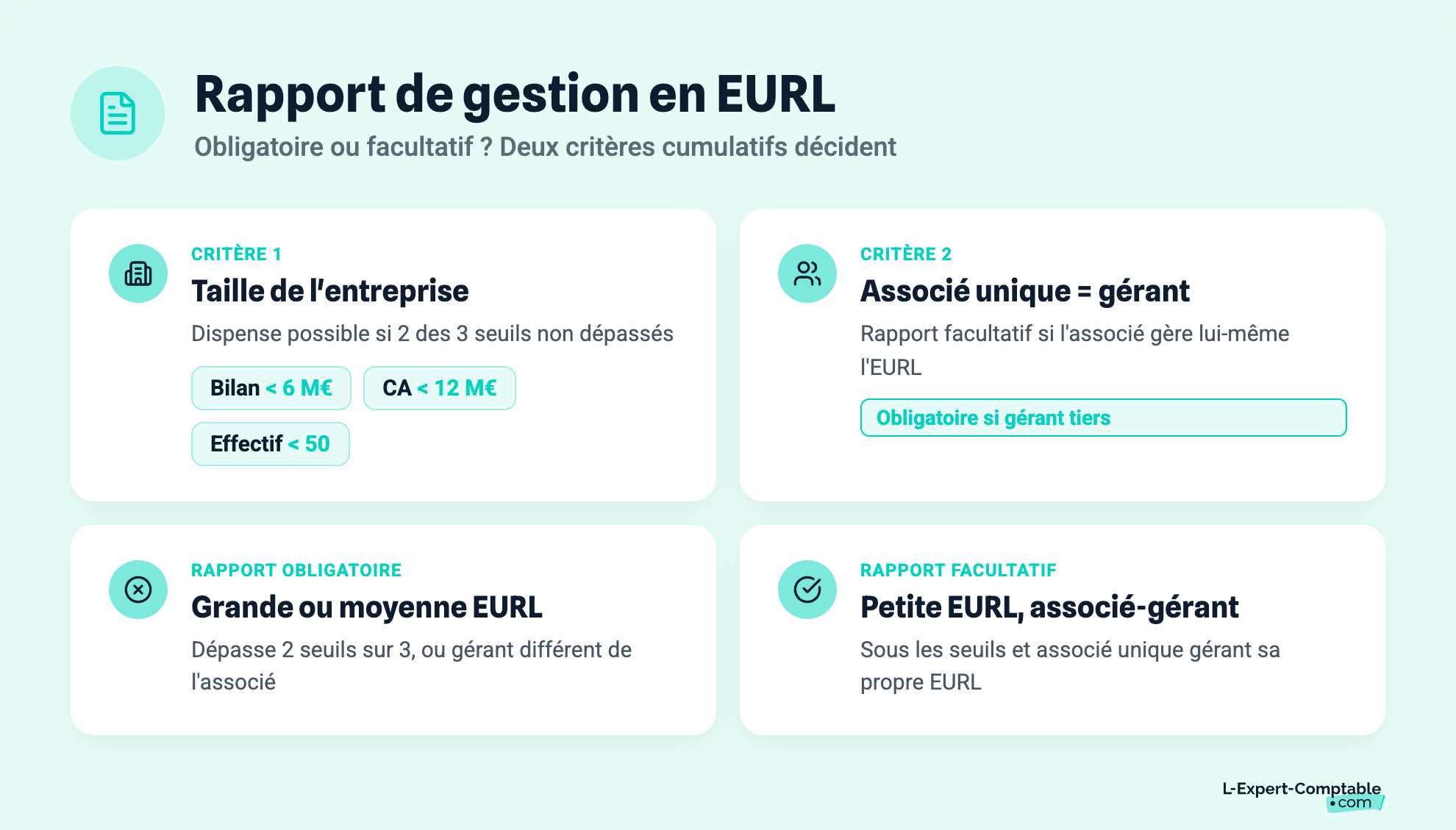 Rapport de gestion en EURL